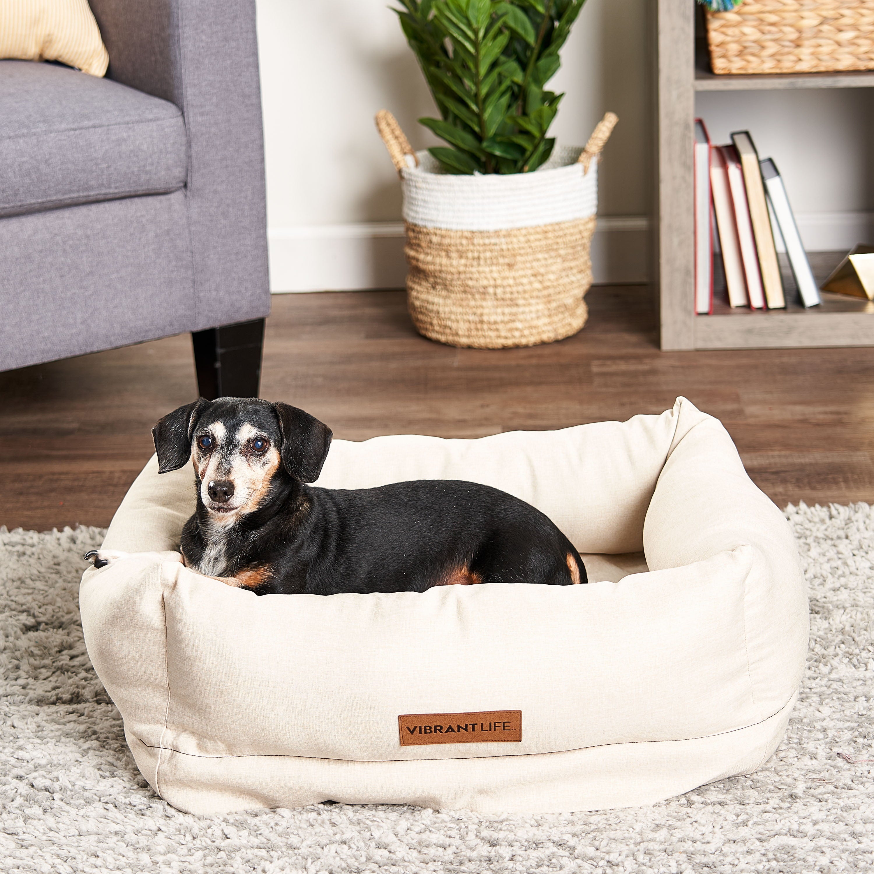 Vibrant Life Deluxe Orthopedic Pet Bed， Small Dog Bed， 18 inches x 24 inches， for Small Dogs