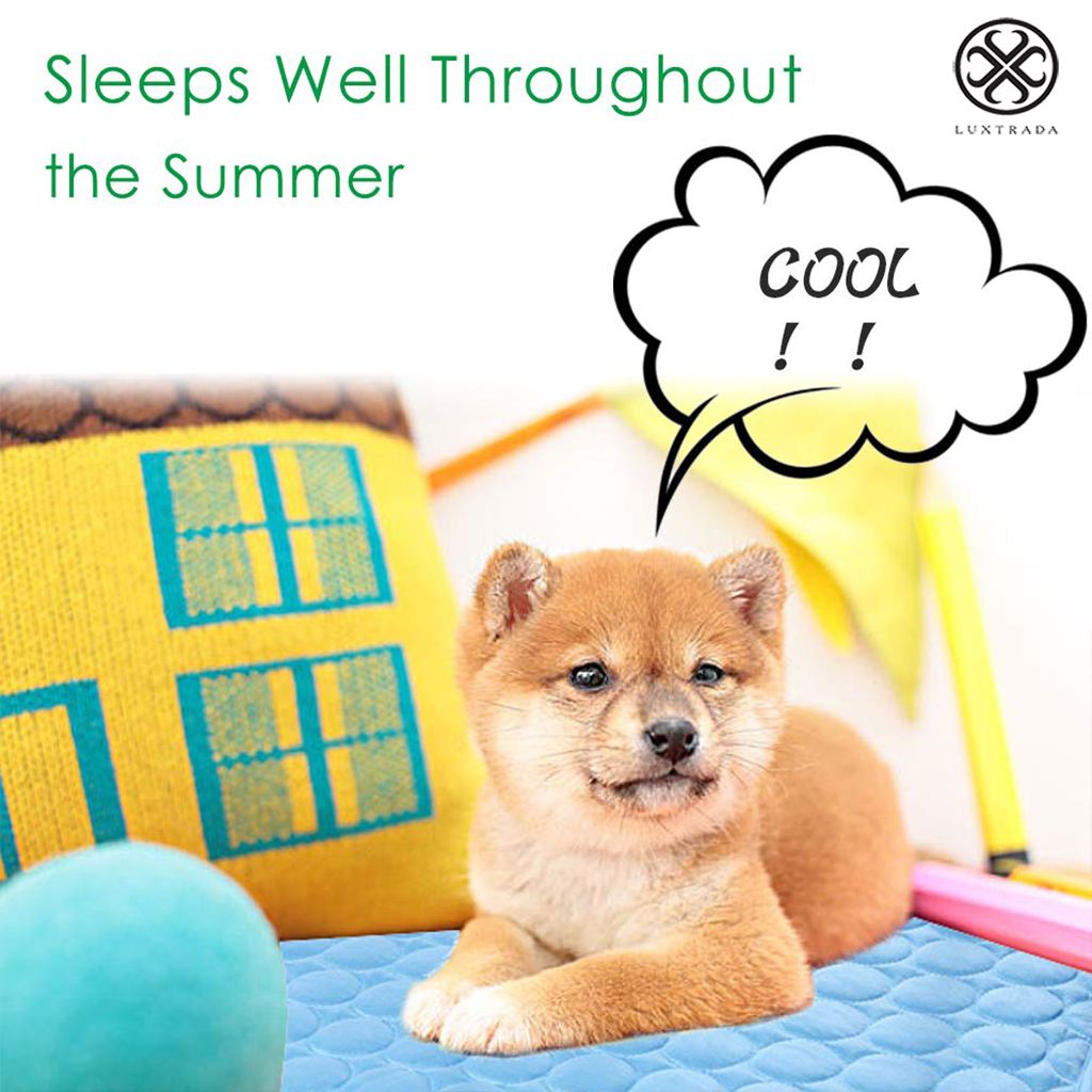 Luxtrada Pet Dog Self Cooling Mat Pad Ice Silk Mat Pet Cooling Non Sticking Blanket Keep Pets Summer Cool Comfort for Cats and Dogs Home (Blue，Size L)