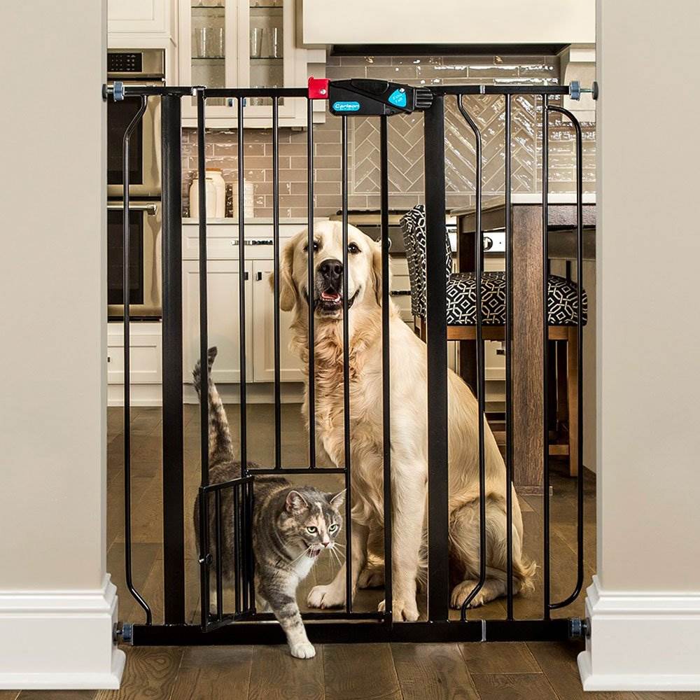 Carlson Pet Products 36