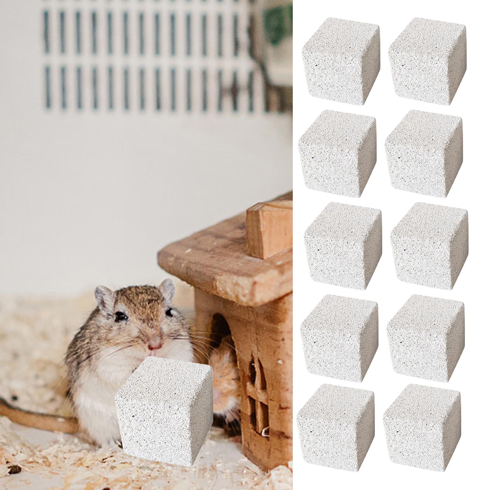Set of 10 Stone Square Hamster Grinding Pet Supplies Grinding Chewing Toy Rodent Play Indoor Pet Playing Chew Toy Rat 3cm