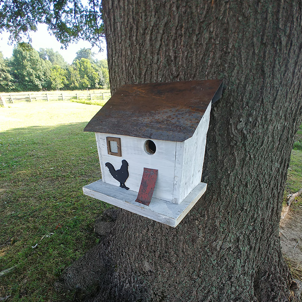 Cumberland Chicken Coop