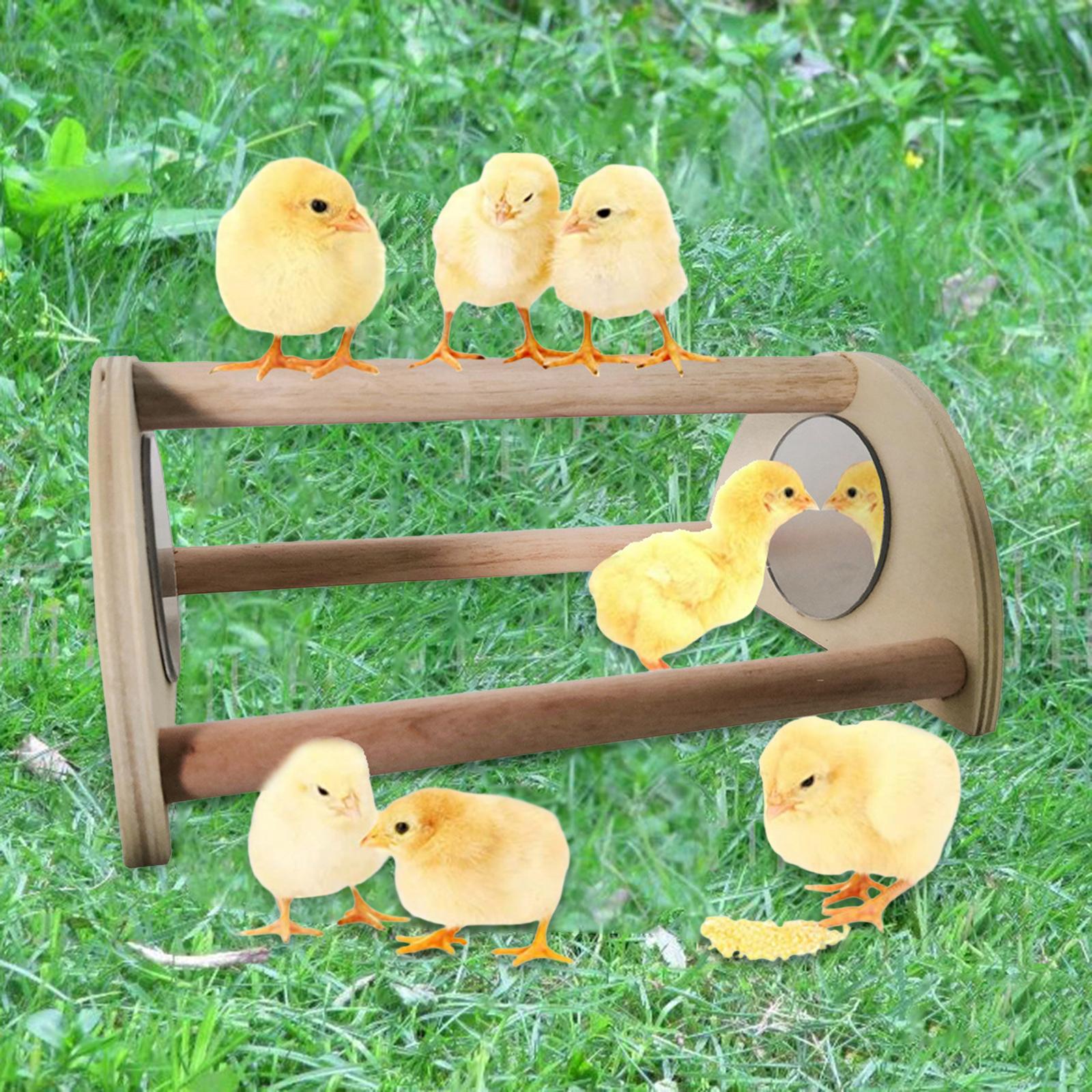 Chick Perch， Chicken Wooden Strong Roosting Bar with Mirror， Training Sleeping Perch Standing for Coop and Brooder Chick Hens Silkies Quail Chicken