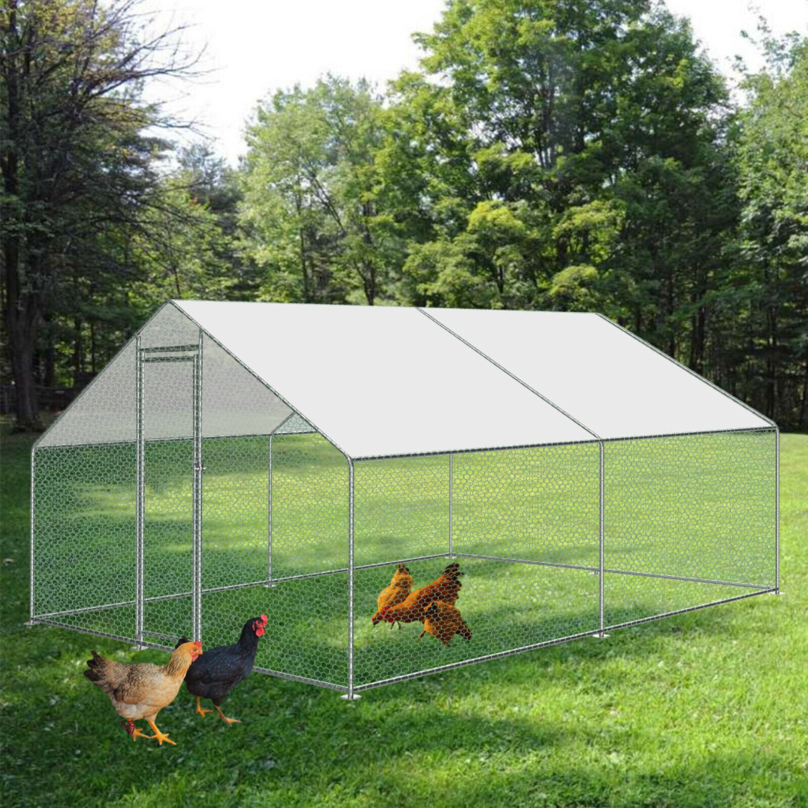 Large Walk in Chicken Run Coop Hen House Enclosure Backyard Poultry Cage Cover 10' x 10'
