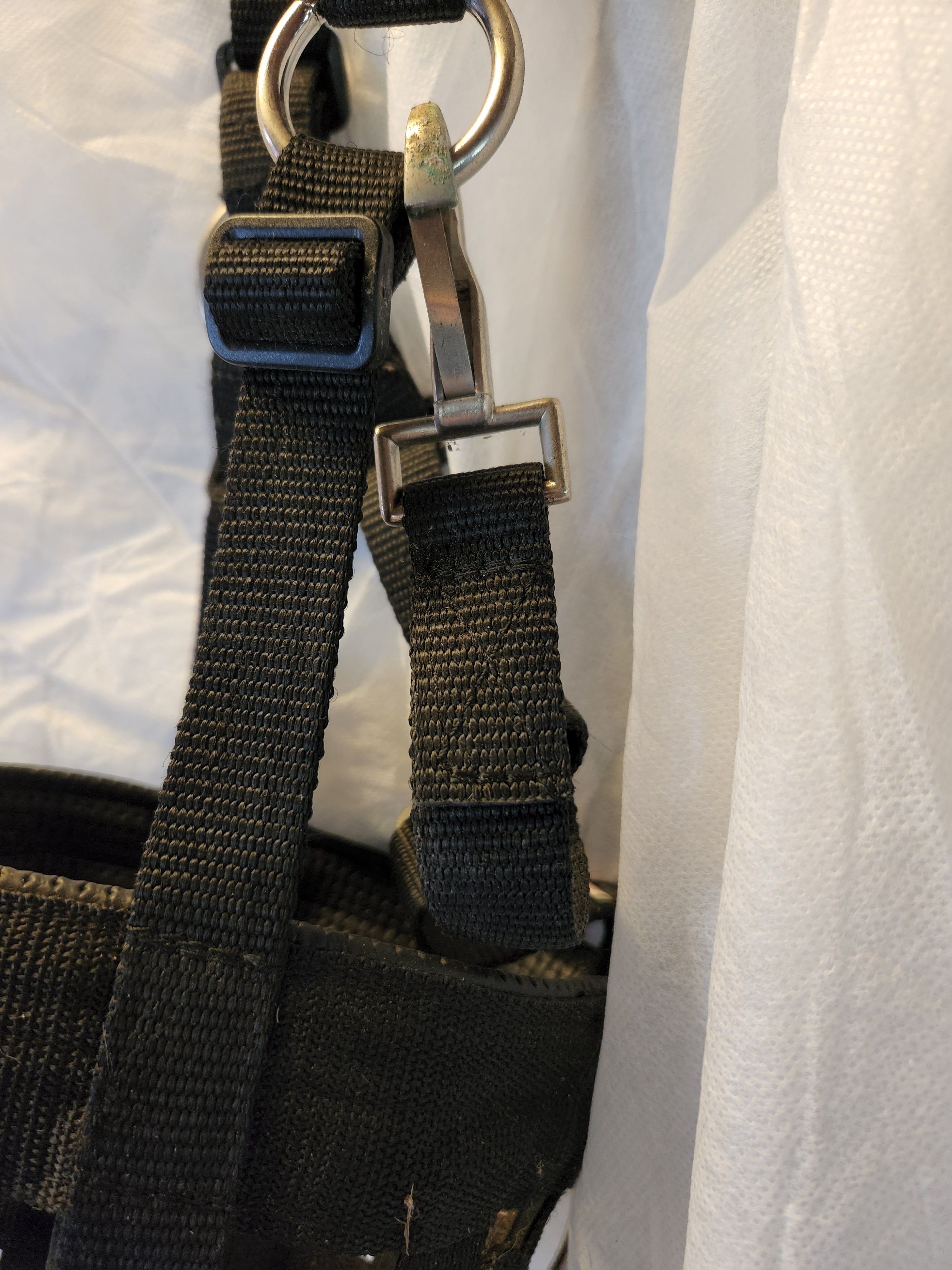 Cashel Company GMH Grazing Muzzle Halter Black Pony