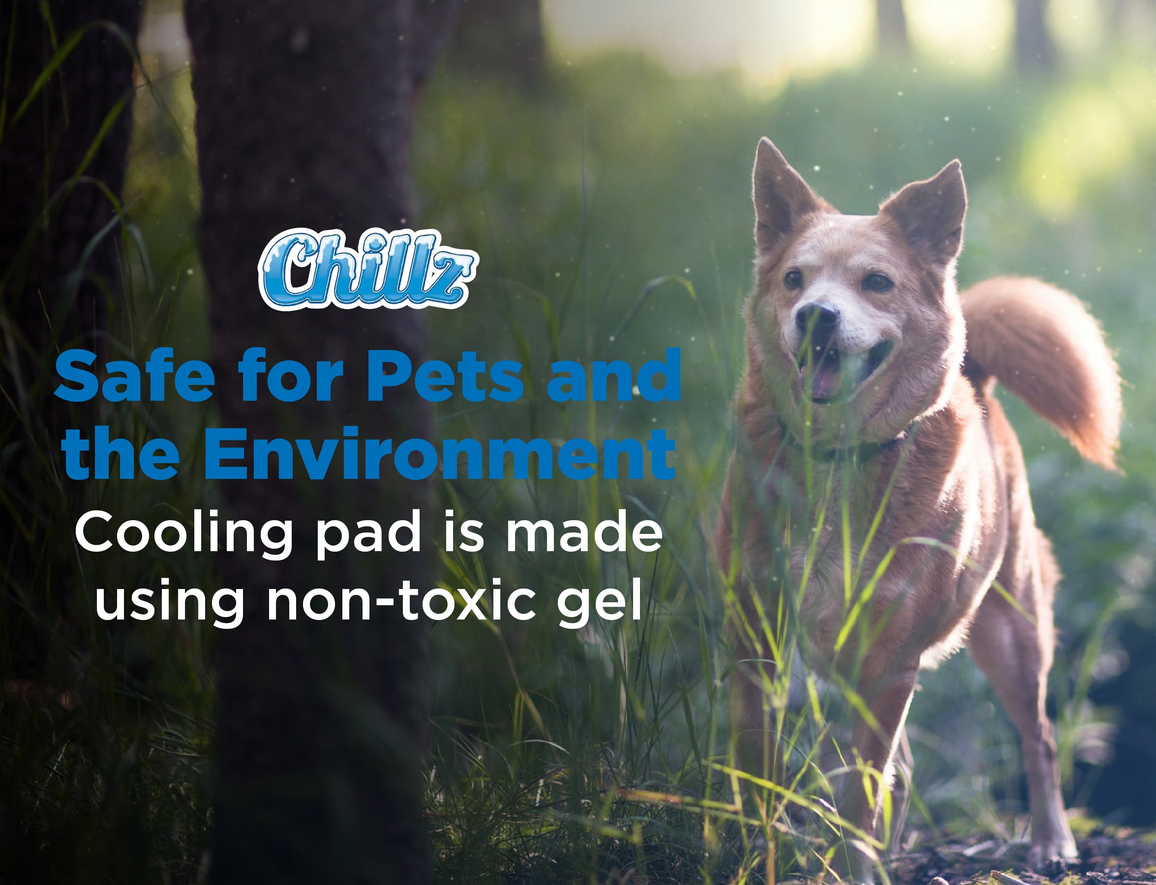 CHILLZ Pressure Activated Cooling Pad for Dogs， Large - Blue， 36 x 20 inches