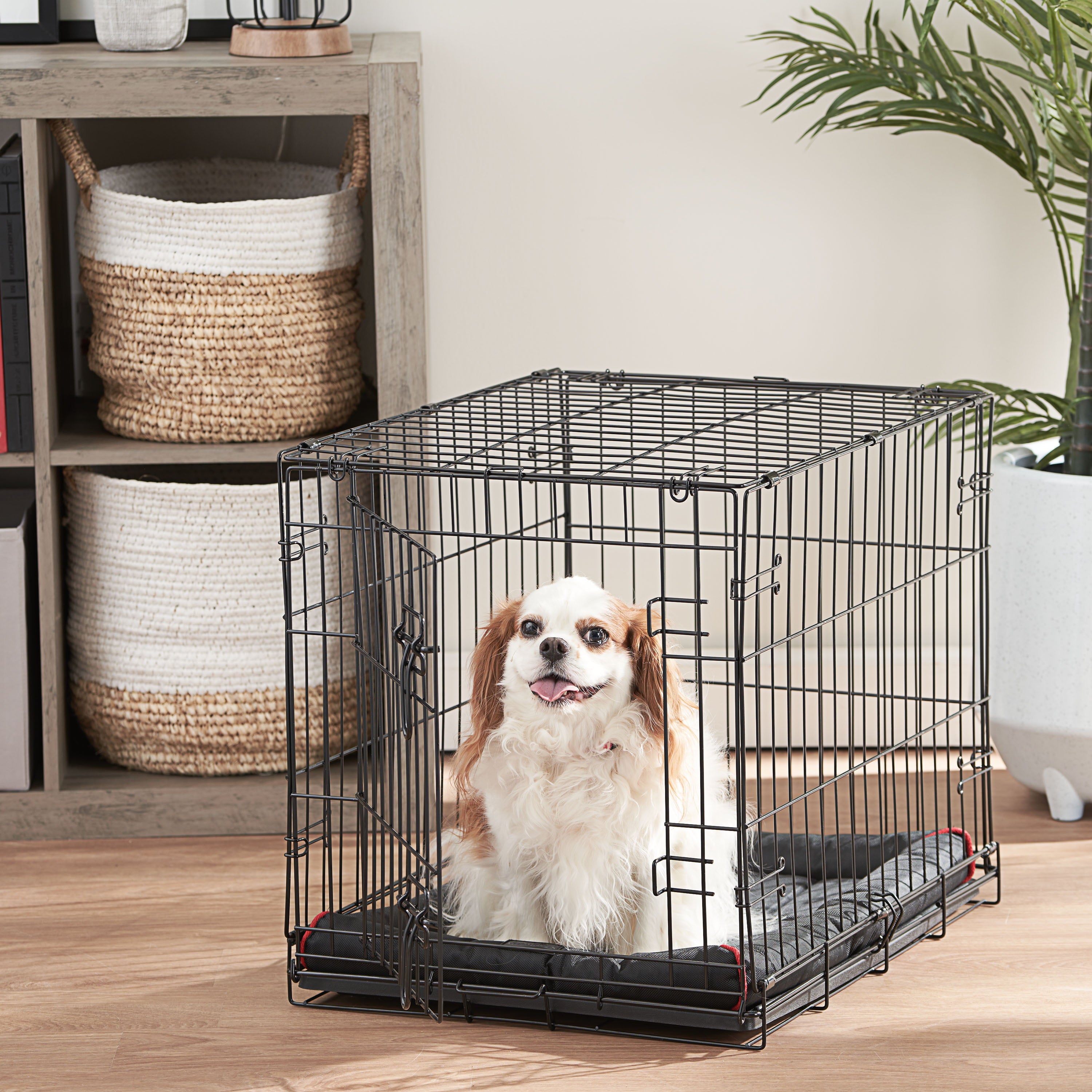 Vibrant Life， Single-Door Folding Dog Crate with Divider， Medium， 30