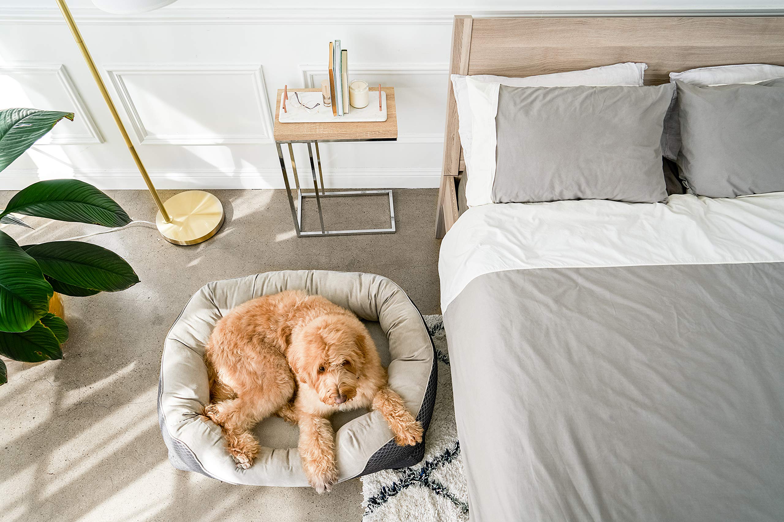 BarksBar Snuggly Sleeper Solid Foam Orthopedic Dog Bed， Medium， Gray