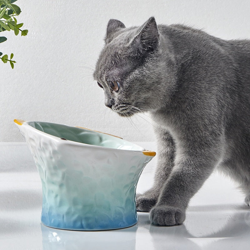 Raised Ceramic Cat Bowl – Cute Fish-Shaped Elevated Food & Water Bowl