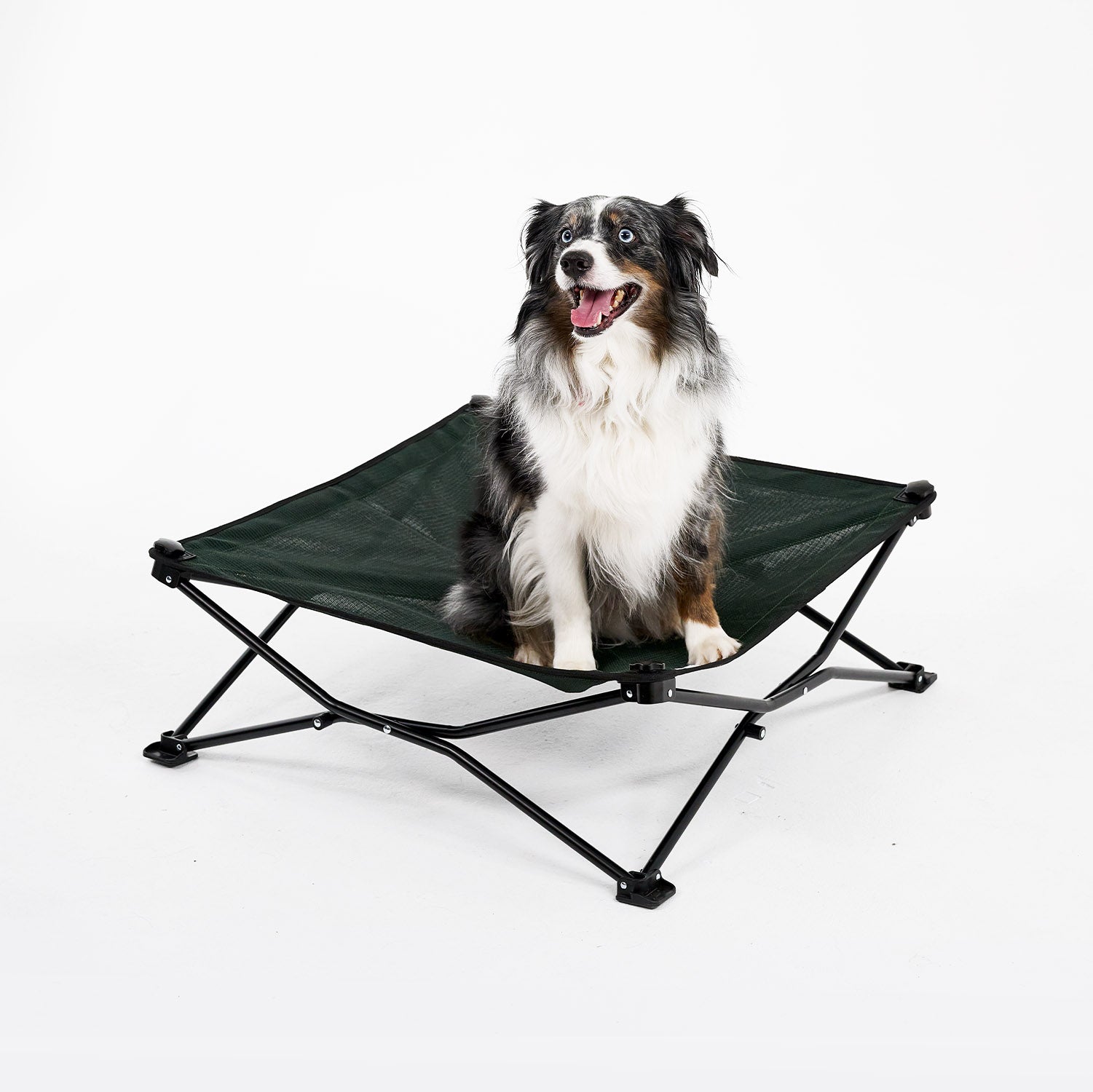 Coolaroo On the Go Elevated Travel Dog Bed， Medium， Brunswick Green