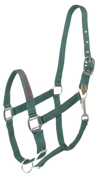 Gatsby I LOVE MY OWNER Nylon Halter