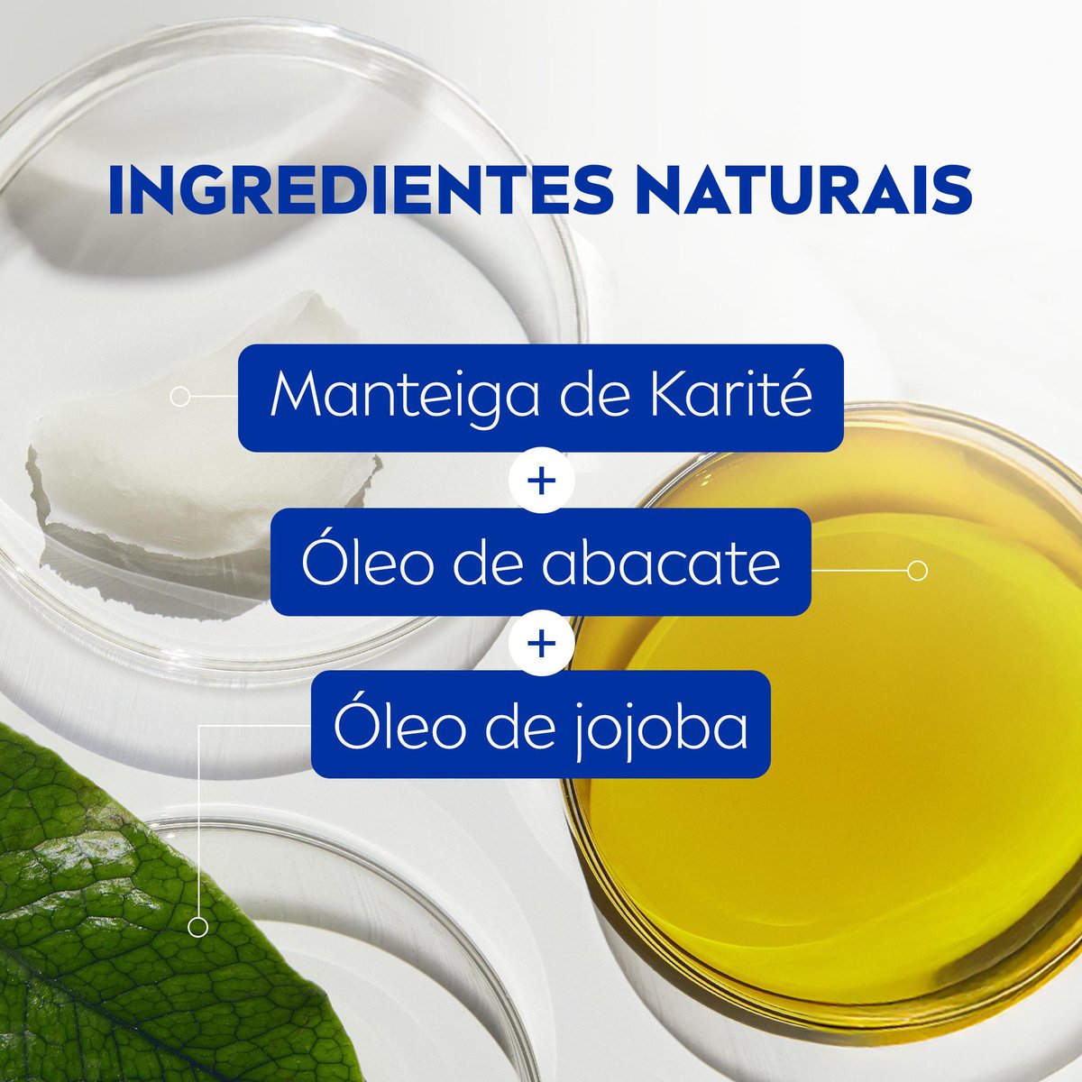 Hidratante Labial NIVEA Original Care 4,8g