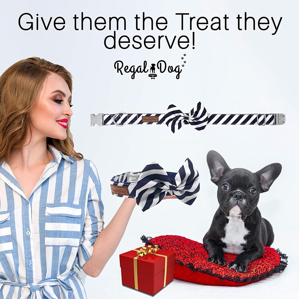 Regal Dog Products Cool Designer Bowtie Collars | Custom Fit Collar for Small， Medium and Large Dogs