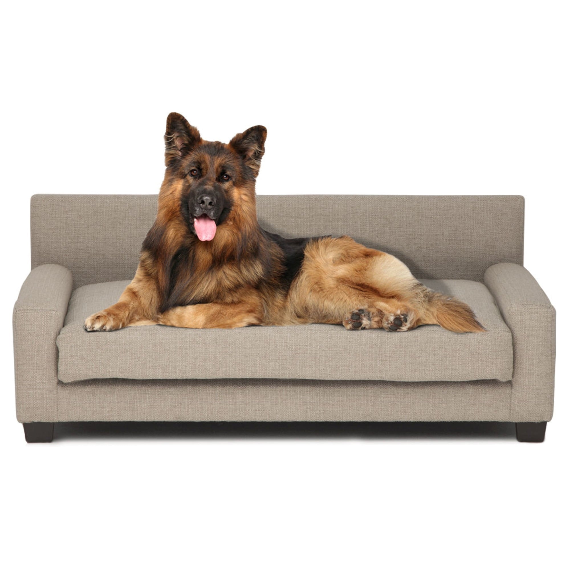 Club Nine Pets Metro Orthopedic Dog Bed， Medium， Oatmeal