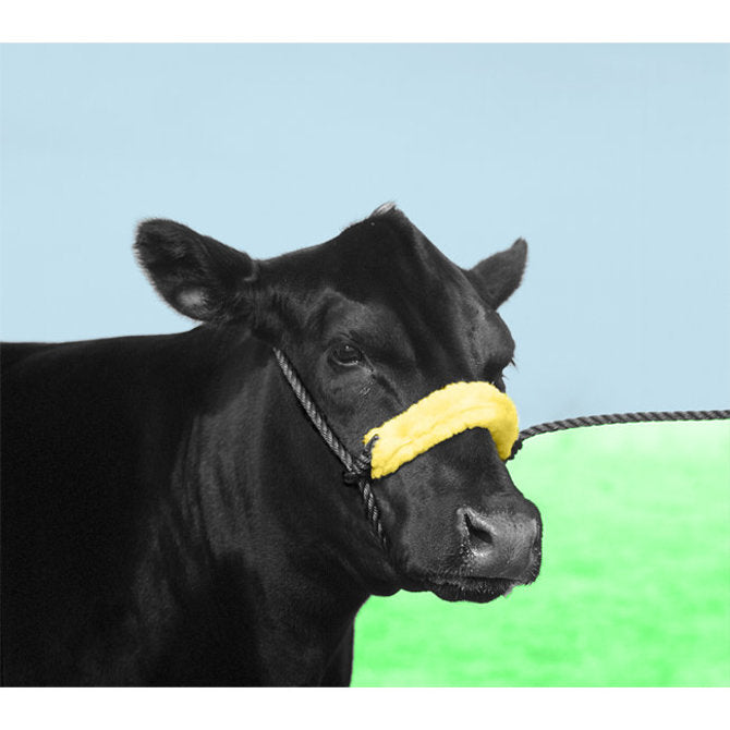 DURVET - STONE MFG HALTER POLY COW W/PAD NOSEBAND BK/MZ 82068