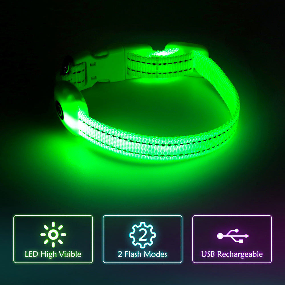 Bseen Small LED Dog Collar - USB Rechargeable Glowing Pet Collar for x-Small Dogsand Cats (Green)