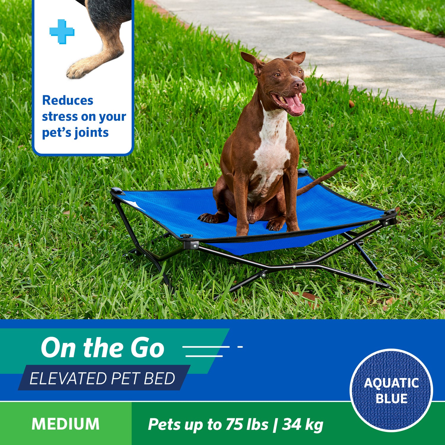 Coolaroo On the Go Elevated Travel Dog Bed， Medium， Aquatic Blue