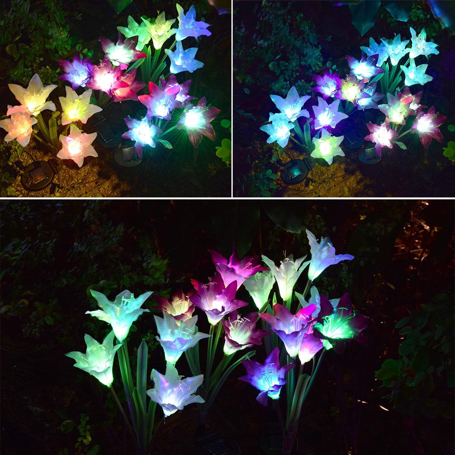 Outdoor Solar Garden Stake Lights - 2 Pack Solite Solar Powered Lights with 8 Lily Flower, Multi-color Changing LED Solar Stake Lights for Garden, Patio, Backyard (Purple and White)