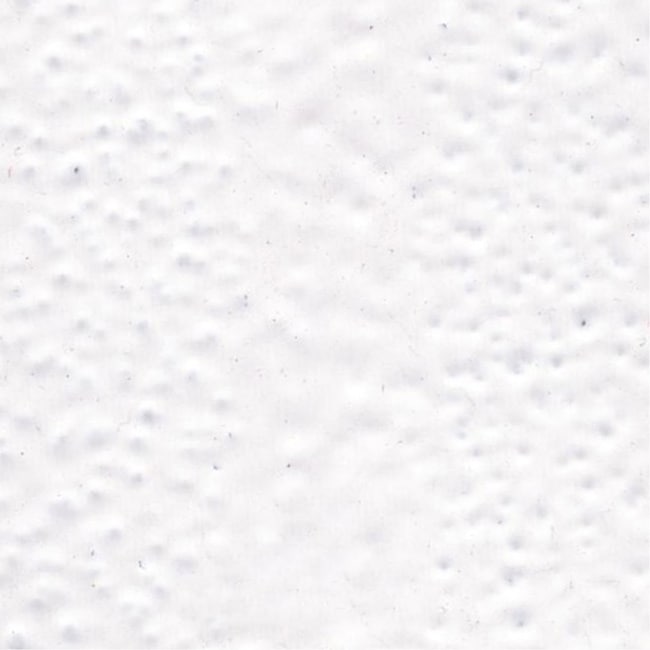 A and E Cage Co. Seneca Dometop Bird Cage-Black