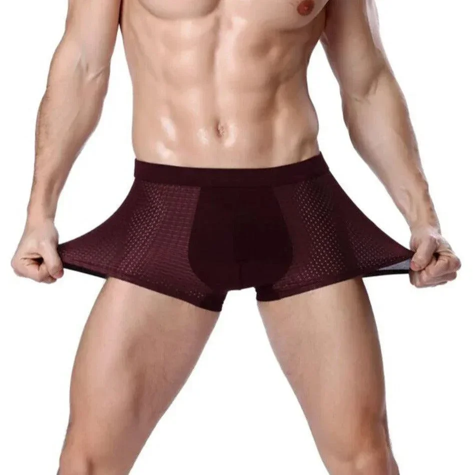 Kit de Cuecas Dionísio™ em Fibra de Bambu + Seda Gelada / Frescor Inigualável, Proteção Antibacteriana e Antiodor!