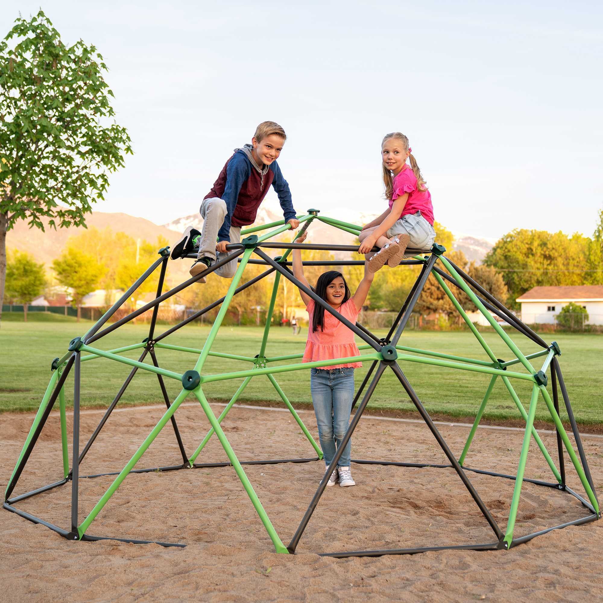 Lifetime 66 inch Steel Playground Climbing Dome， Mantis Green and Bronze (90951)