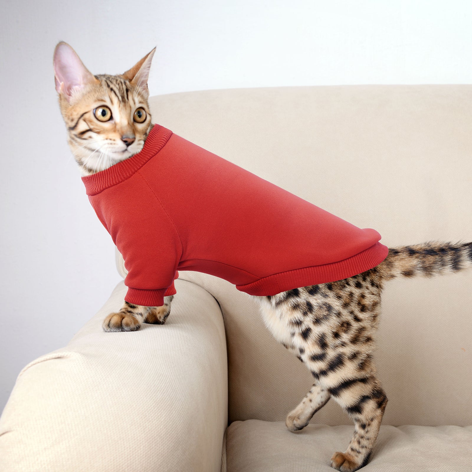 ROZKITCH Basic Dog Cat Hoodie Dog Winter Coat， Cold Weather Clothes Soft Warm Dog Sweater Basic Pet Clothes Hoodies for Small Medium Large Dogs