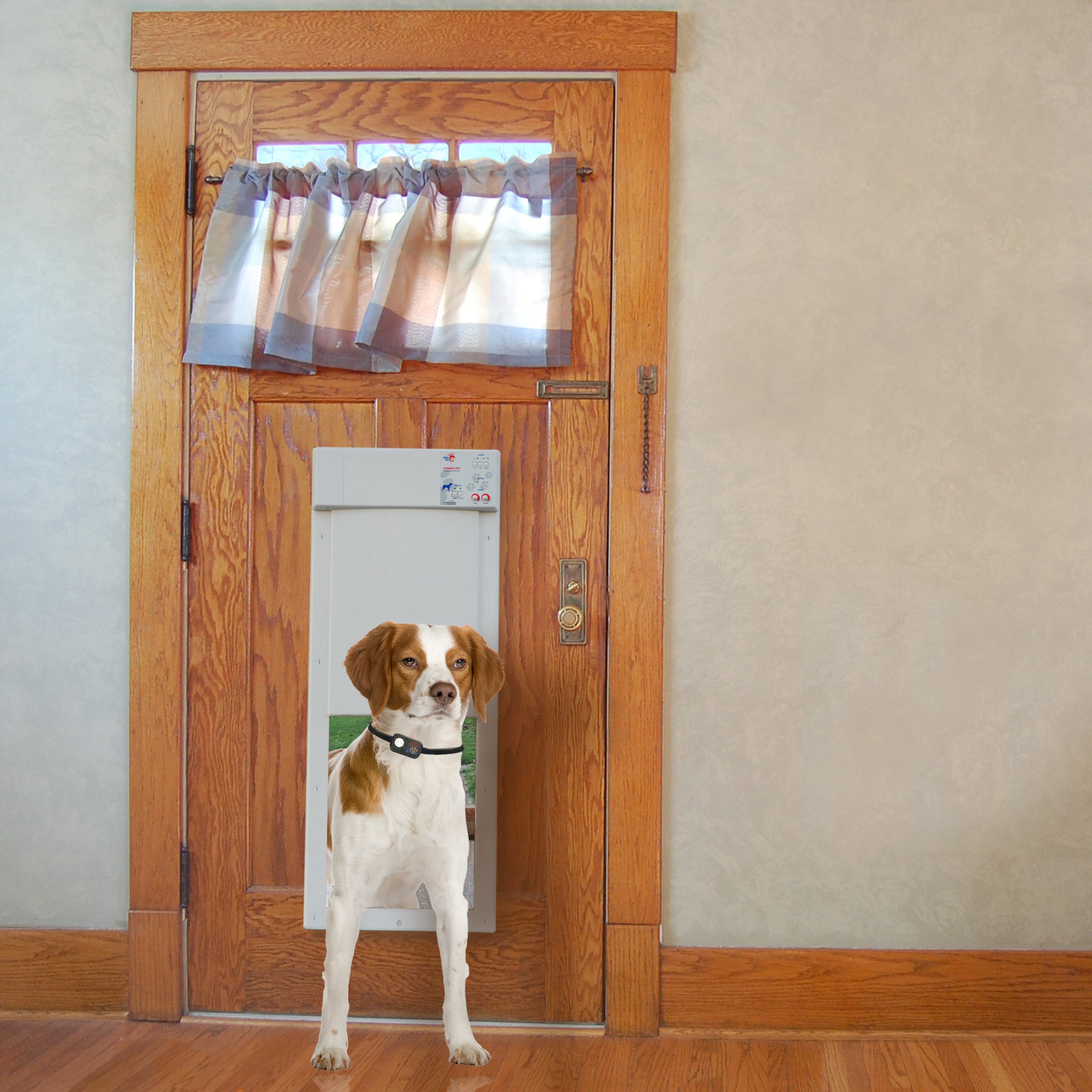 Power Pet Large Electronic Pet Door PX-2