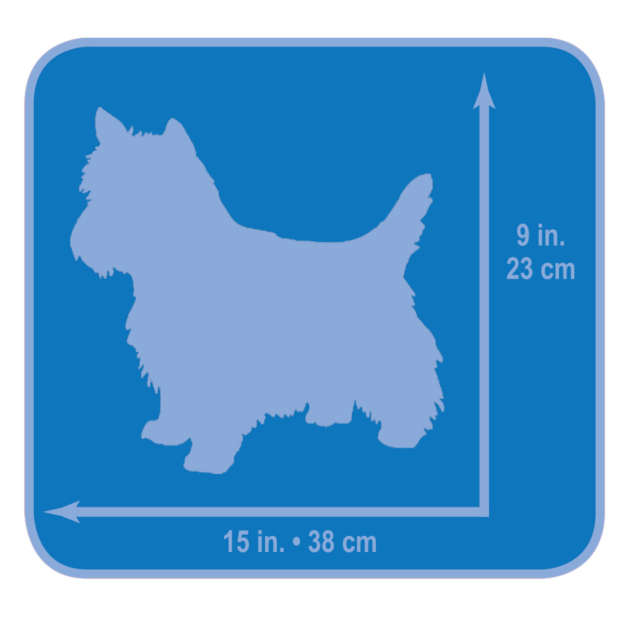 Lucky Dog Single-Door Chain Link Heavy Duty Outdoor Kennel， Silver， 5'L x 5'W x 4'H