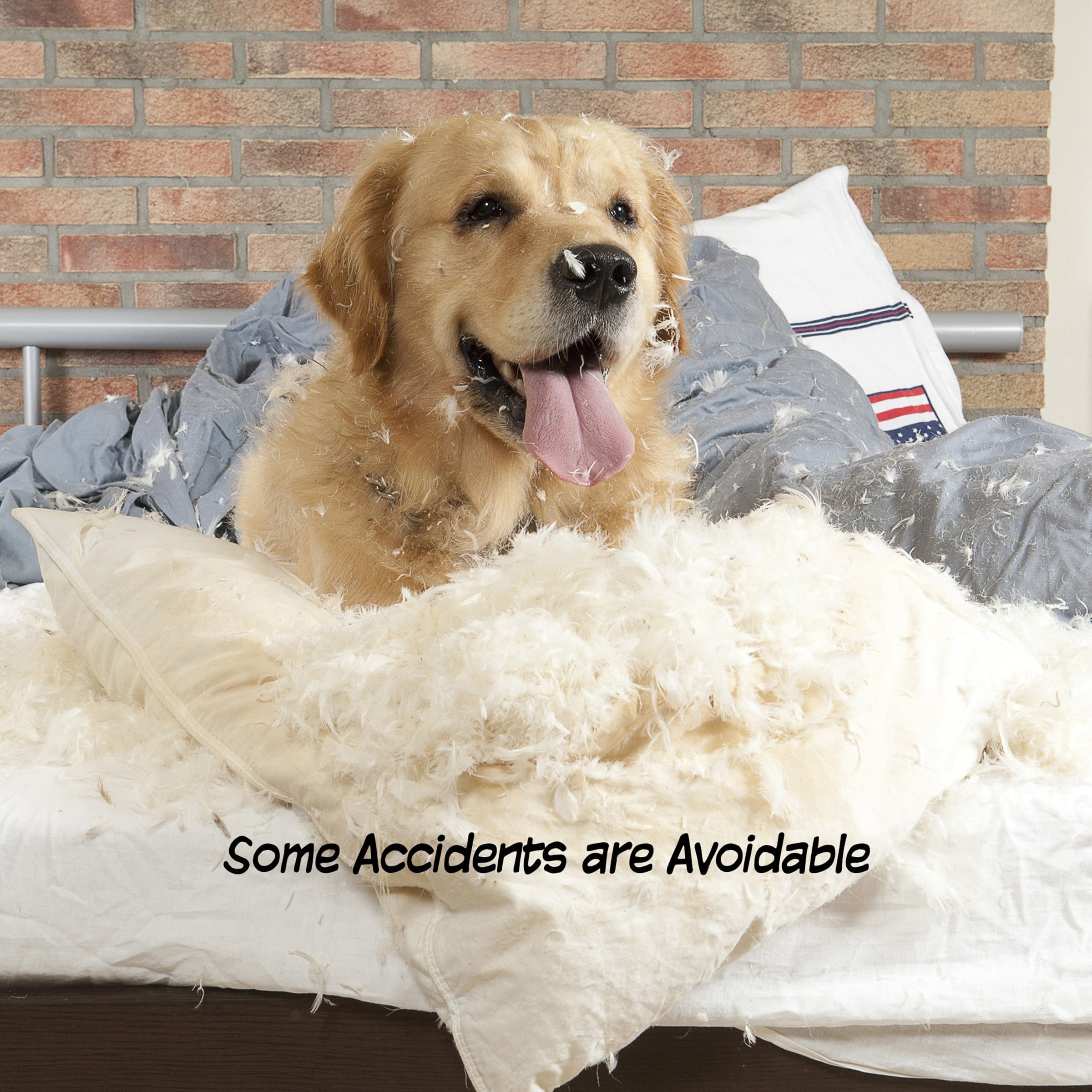 Pet Gate – Dog Gate for Doorways， Stairs or House – Freestanding， Folding， Accordion Style， MDF Wooden Indoor Dog Fence by Petmaker (4 Panel， Gray)