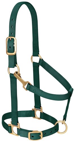 Weaver Leather Basic Adjustable Nylon Halter， Hunter Green， 1