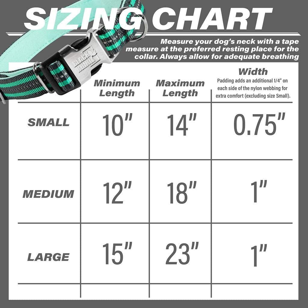 Black Rhino - Classic Striped Adjustable Dog Collar for Small Medium Large Breeds | 3m Reflective Threading | 4 Bright Colors - Matching Leashes Sold Separately (Aqua Striped， Large)