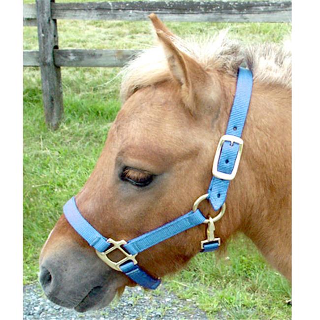 Mini Nylon Miniature Horse Halterand#44; Light Blue