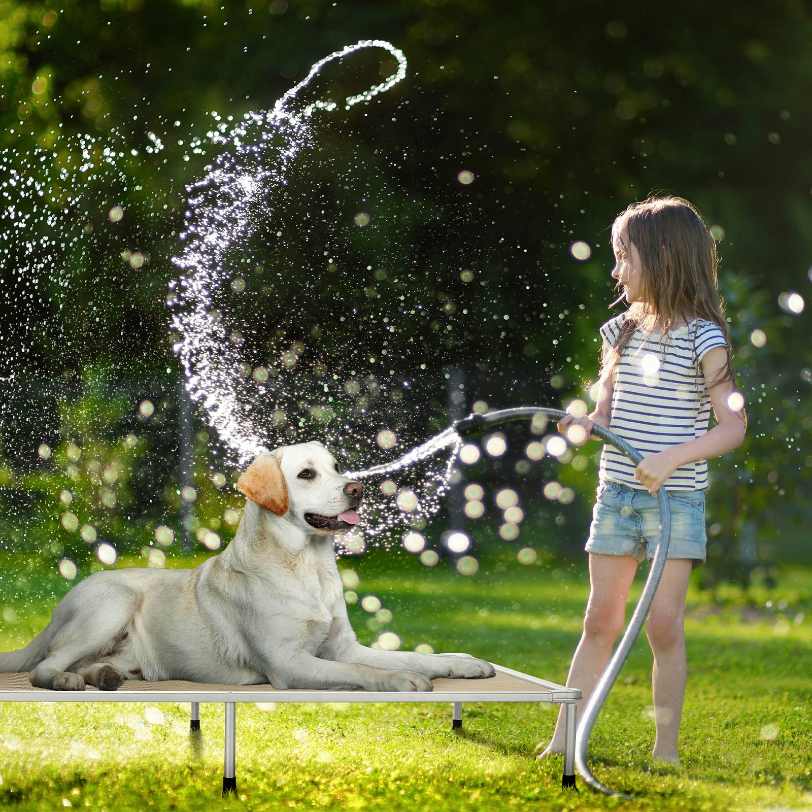 Veehoo Chewproof Dog Bed， Cooling Raised Dog Cots with Silver Metal Frame， XX Large， Beige Coffee