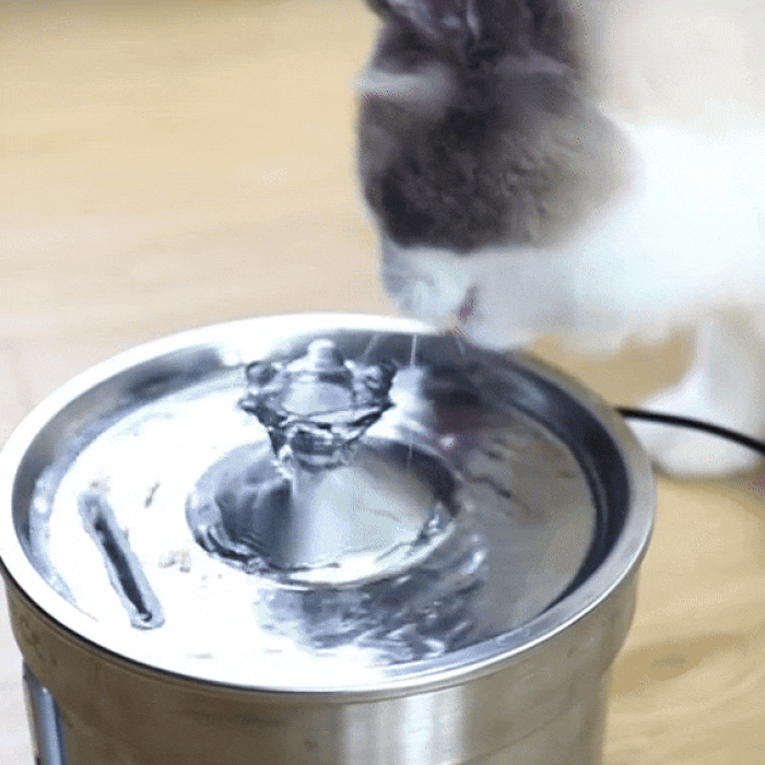 Stainless Steel Pet Water Fountain 3.2L | Quiet Flow Cat Drinking Fountain with Filter