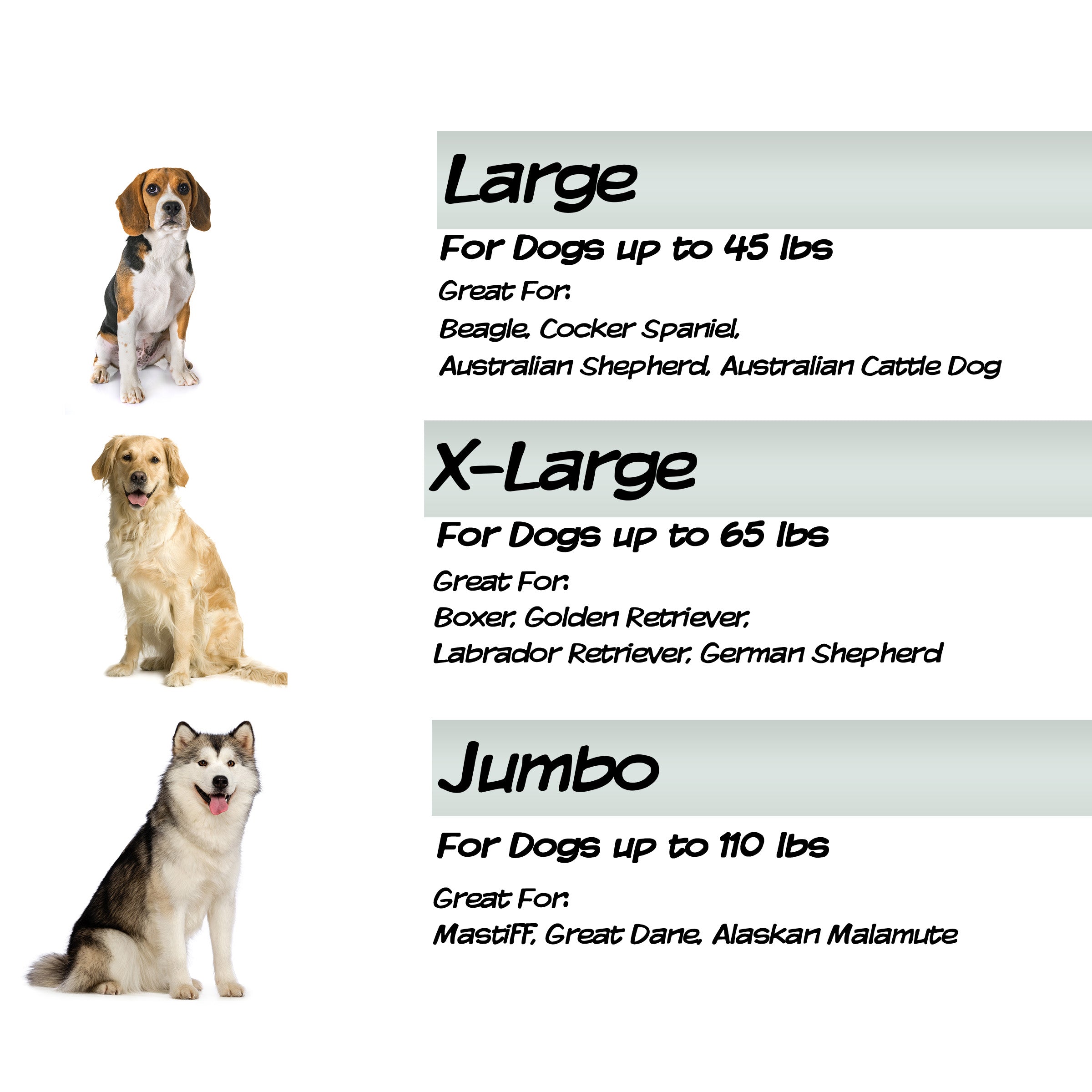 Petmaker Orthopedic Memory Foam Pet Bed