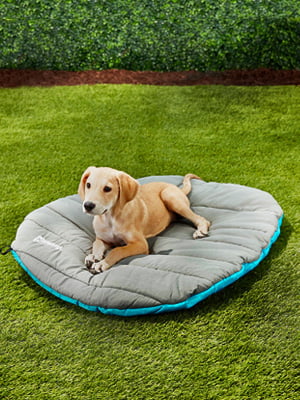 ChuckIt! Pet Travel Dog Bed， Large， Gray