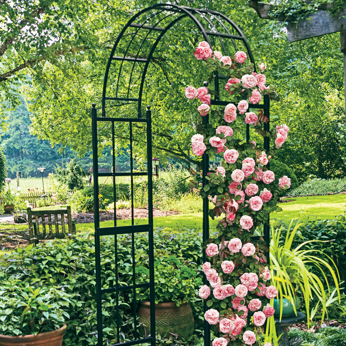 Bagtelle Garden and Yard Heavy Duty Metal Arch - Ideal for all vining plants in your landscape