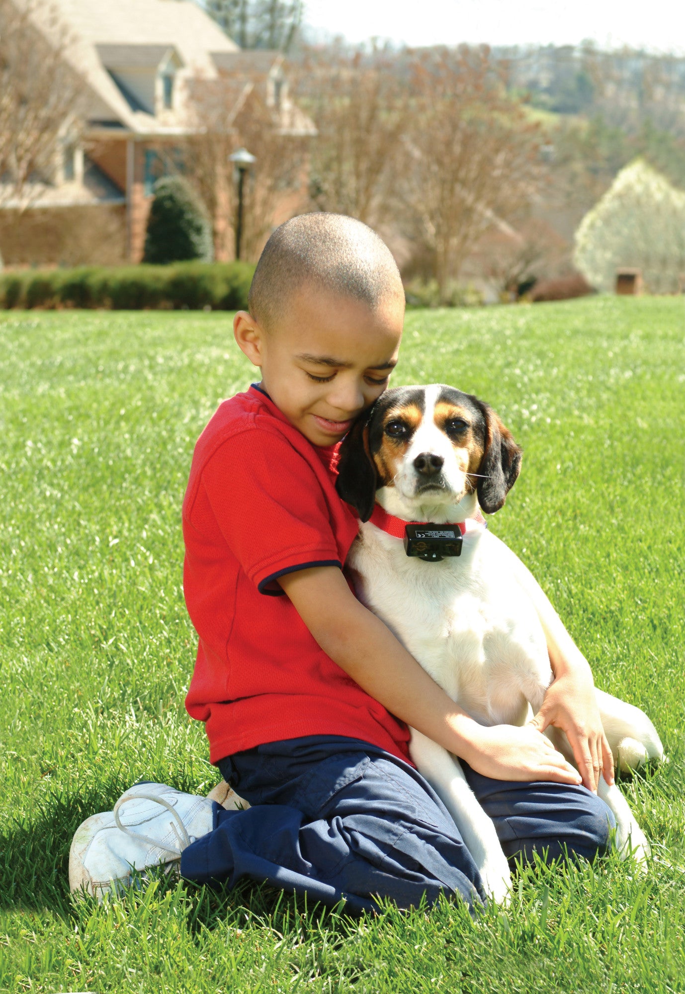 PetSafe Basic Bark Control Collar for Dogs + 8 lb.， Automatic 6 Correction Levels， Waterproof