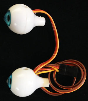 Illuminating Eyes for Ohbot | Coding Robot Eyes for Programming and Learning | Above 3 years