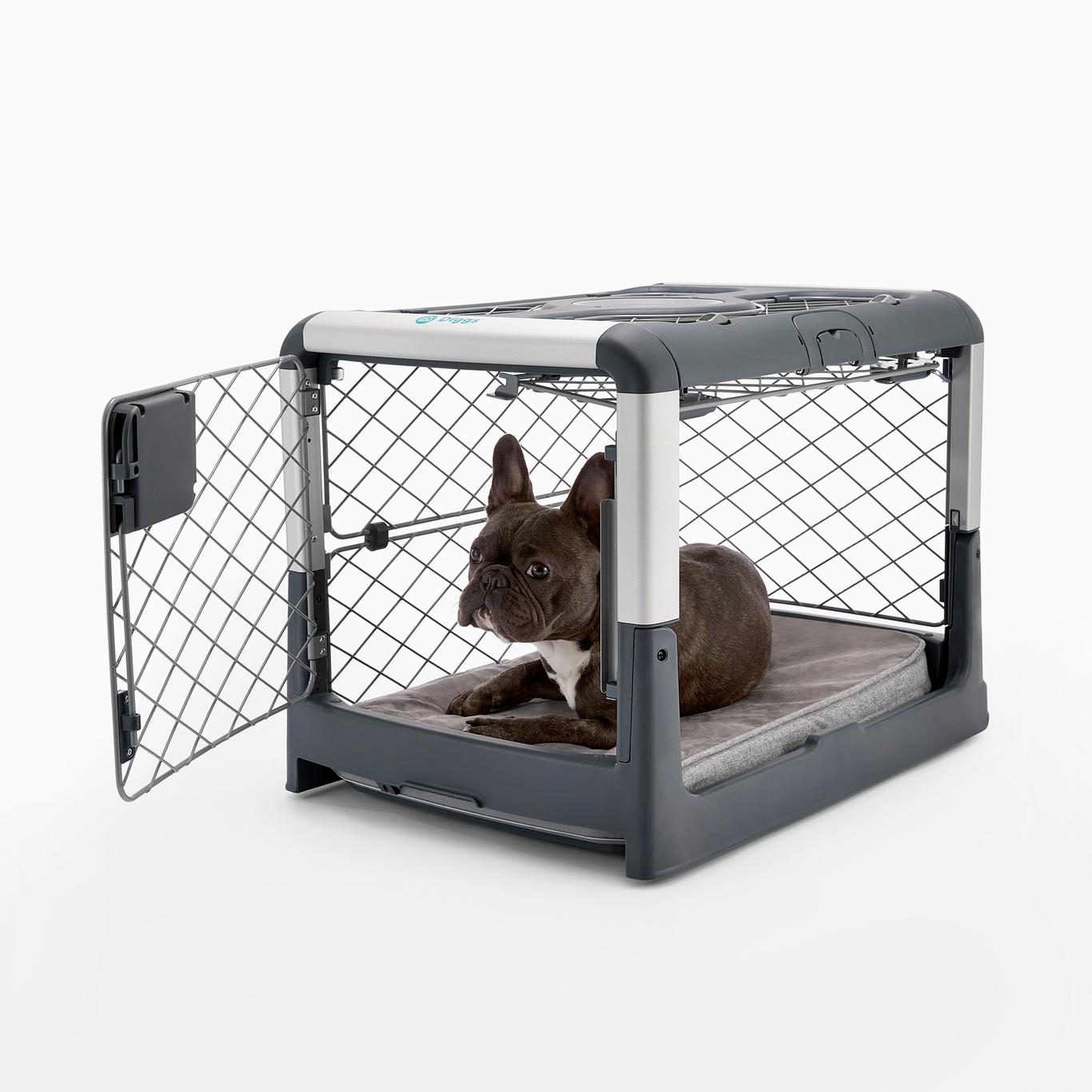 Diggs Revol Small Dog Crate - Portable Travel Dog Crate with Collapsible Kennel Walls