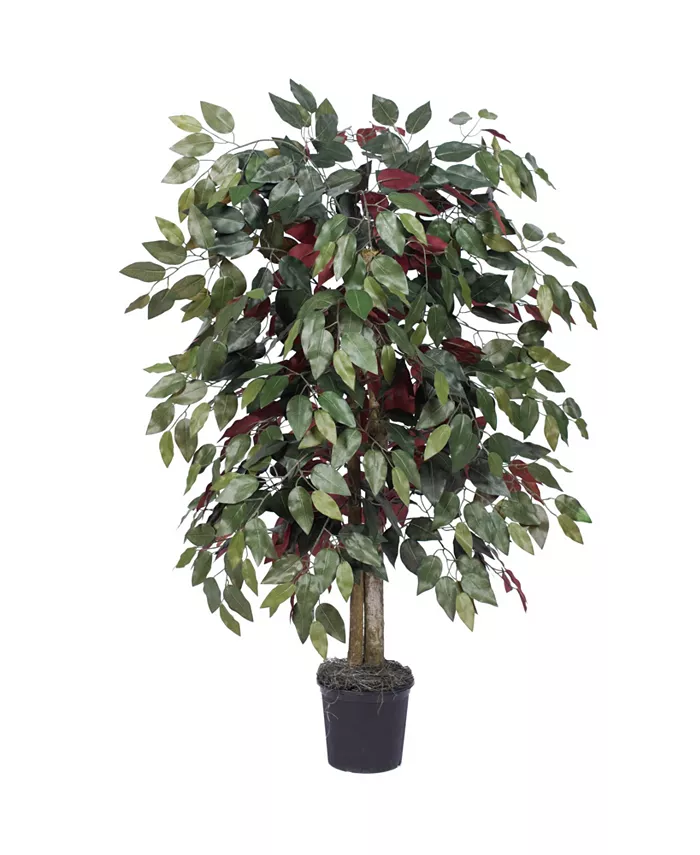 Vickerman 4' Artificial Capensia Bush， Black Plastic Pot