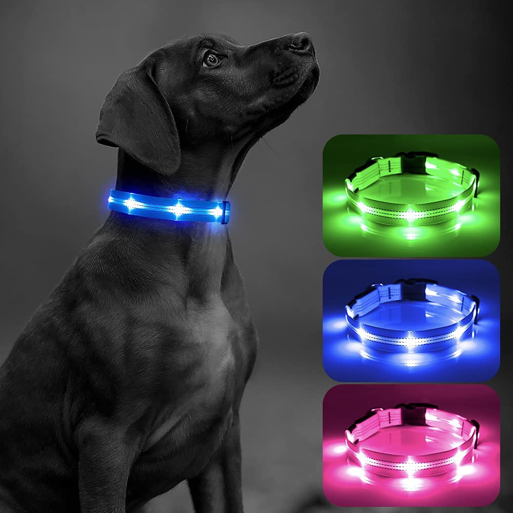Bseen LED Dog Collar - Light up Dog Collar USB Rechargeable for Night Dog Walking(Blue， Large)