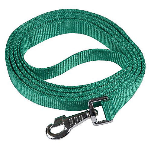 Gatsby Nylon Lead/Snap 6ft Parrot Green
