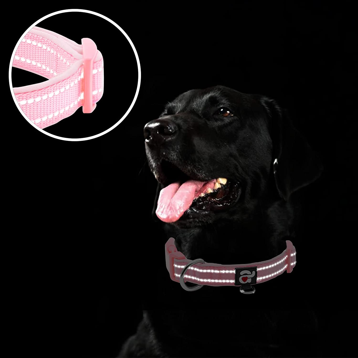 Azuza Reflective Dog Collar Super Soft Neoprene Padded Dog Collars Ring for Small Medium Large Dogs