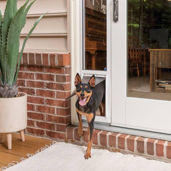 2-Piece Medium Sliding Glass Pet Door