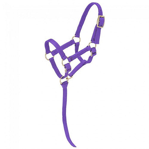 Tough1 Miniature Nylon Halter Lg Purple
