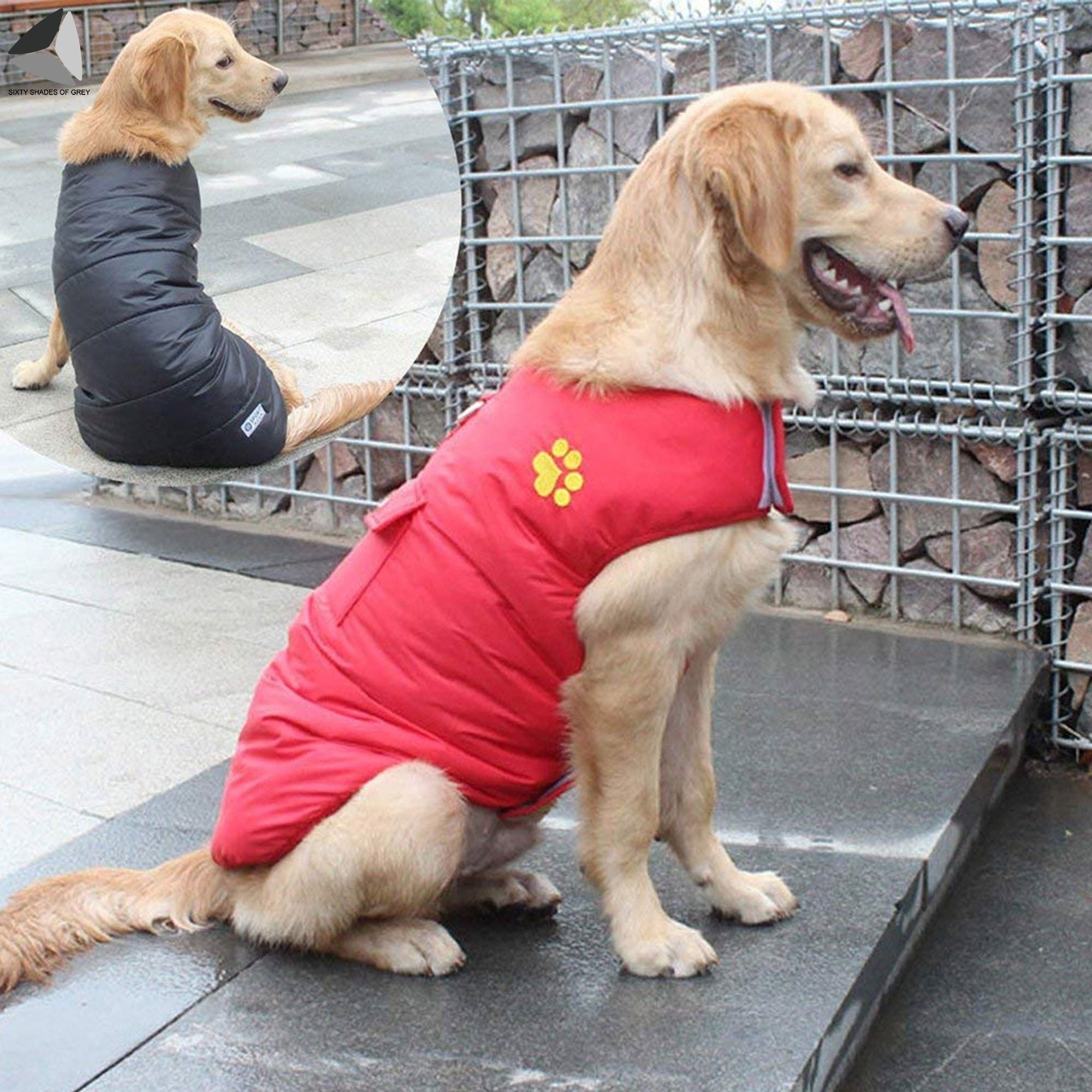 Sixtyshades Winter Windproof Dog Coats Double Sided Waterproof Padded Dog Warm Jackets for Small Medium Large Dogs (L， Red)