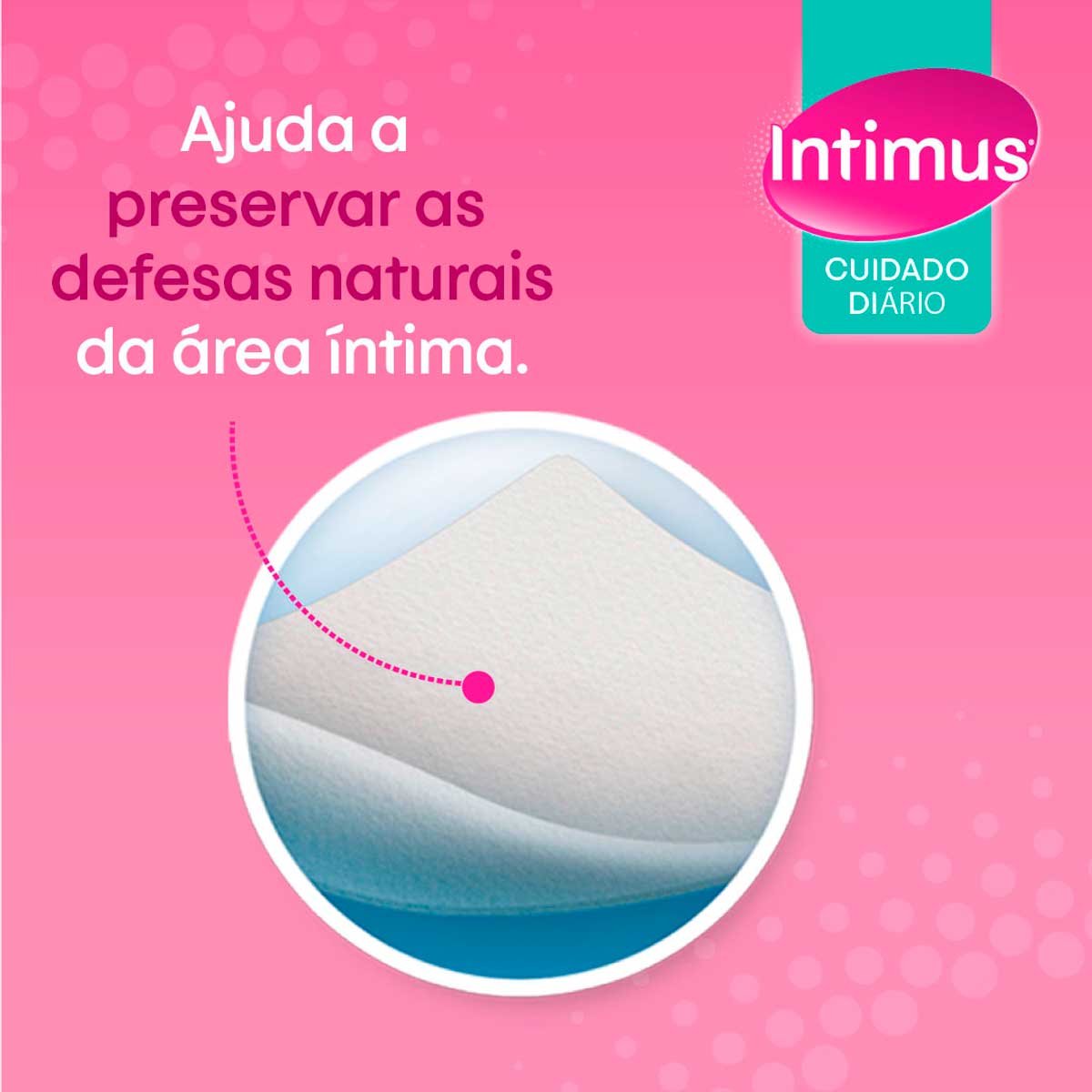 Lencos Umedecidos Intimus Defesas Naturais - 16 lencos