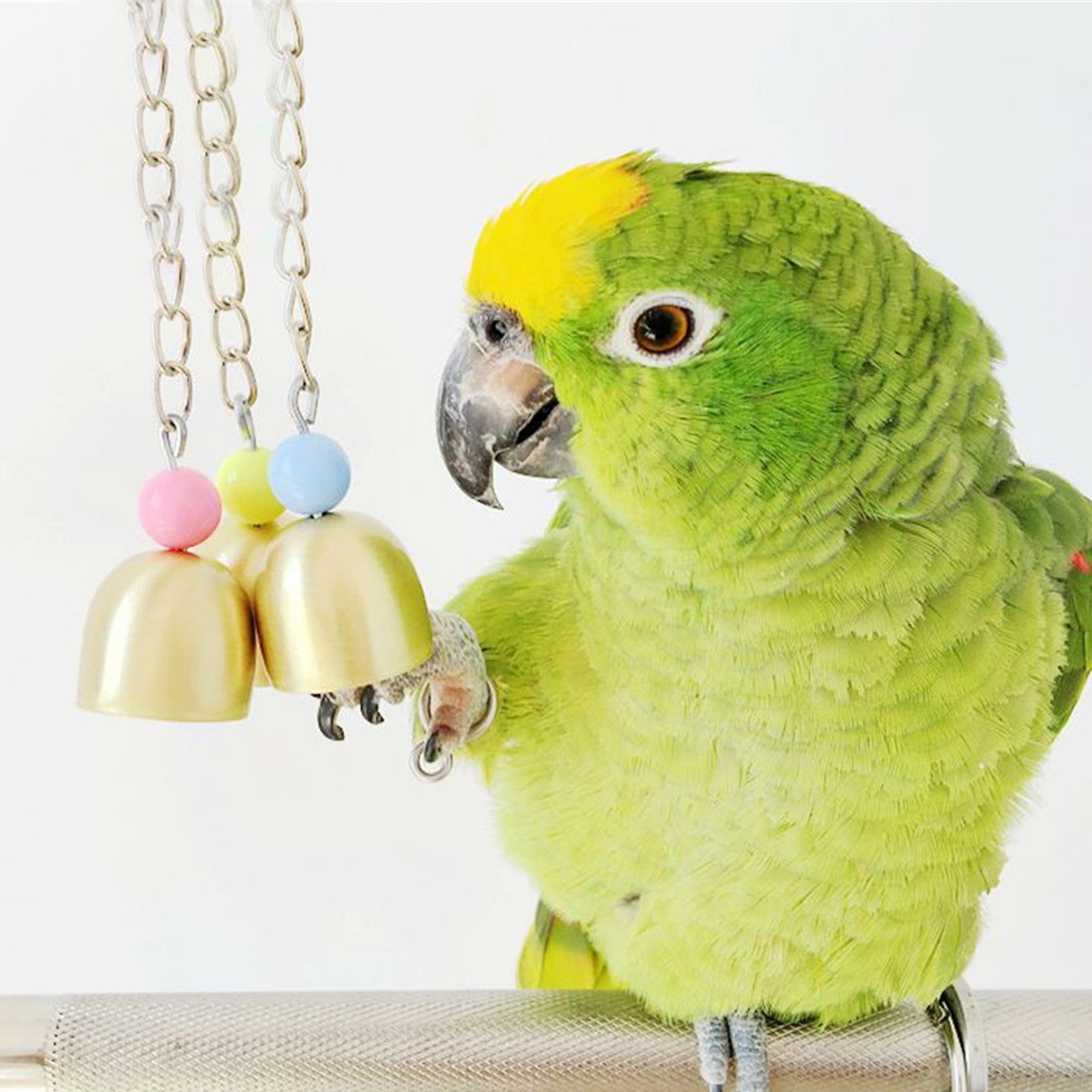 ociviesr Bird B^ite Pet Bells Toy Parrot African Greys Budgie Parakeet Cockatiel Parakeet Lovebird Cage Hanging Toy