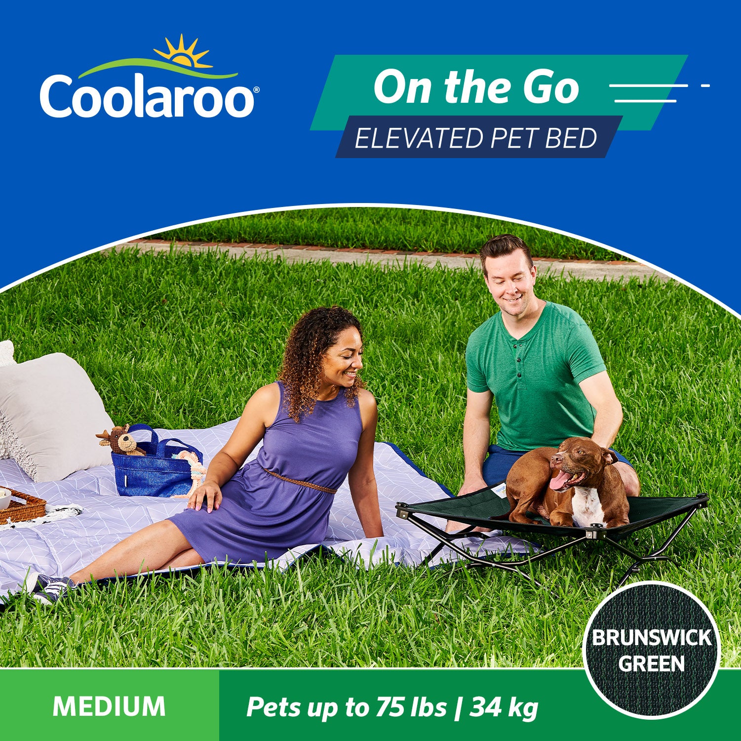 Coolaroo On the Go Elevated Travel Dog Bed， Medium， Brunswick Green
