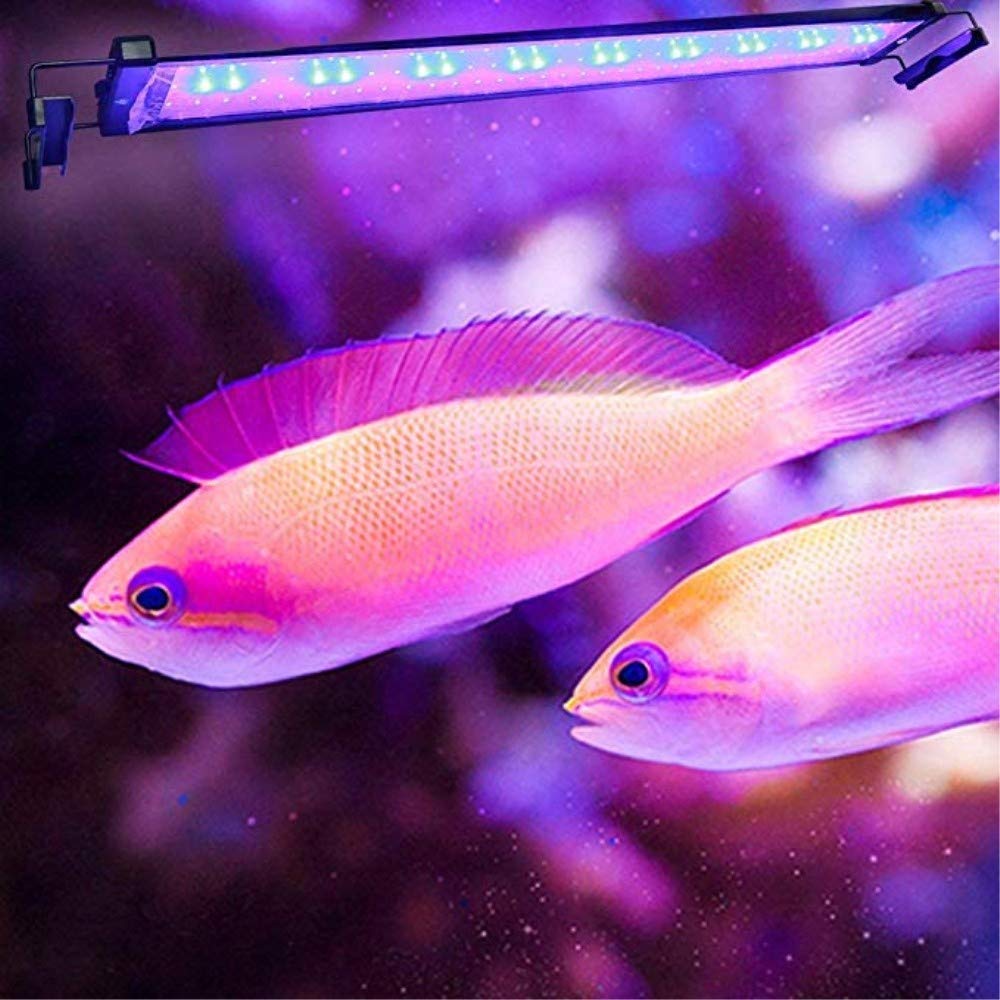 Impecgear LED Light for Aquarium Fish Tank with Extendable Brackets - Black/Silver